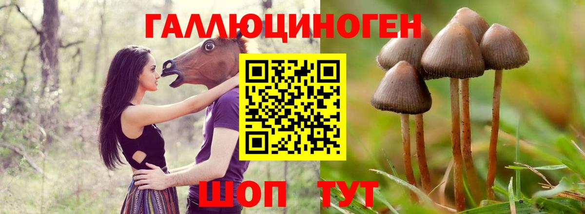 Галлюциногенные грибы GOLDEN TEACHER Лениногорск