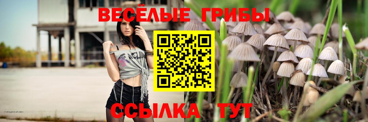 Лениногорск  Псилоцибиновые грибы мухоморы  Вход с VPN 